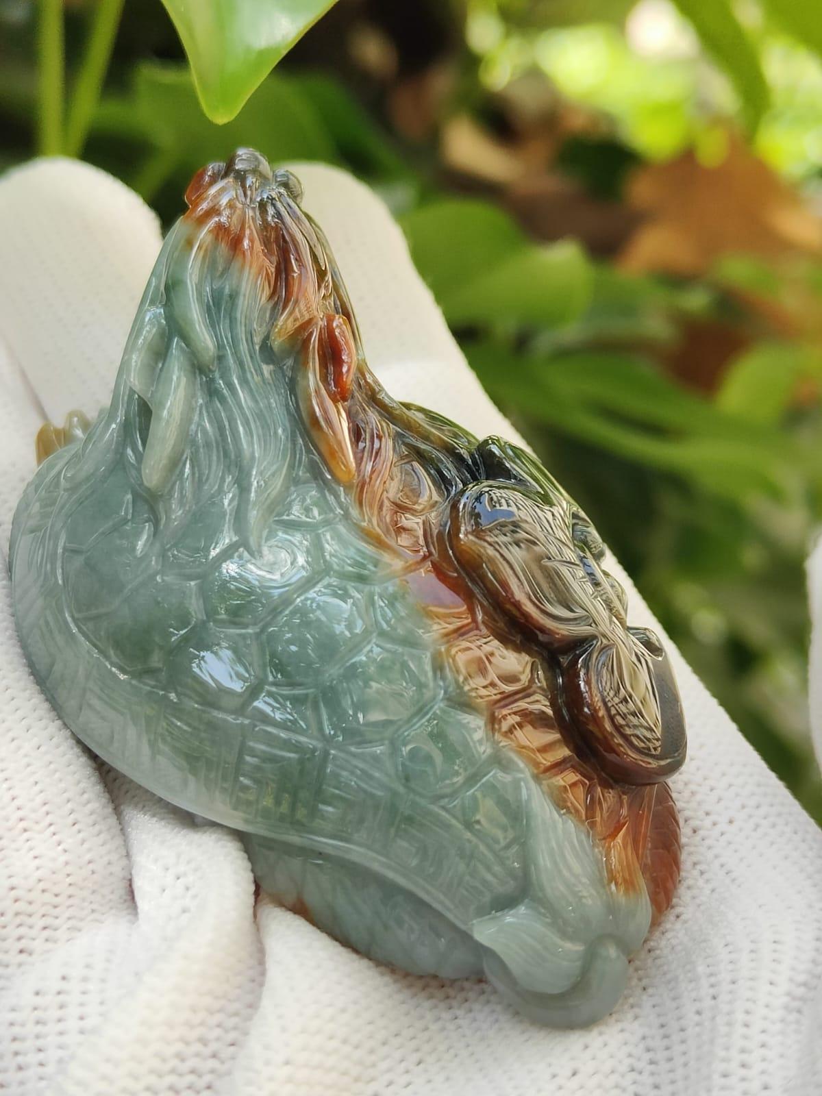 Five Elements Dragon Turtle