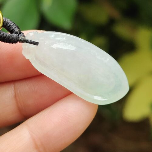 Harmony Gourd Jadeite Pendant - location: Jalan Meragi Park Simei HDB Playground Y.P.Q Certified Test - Approved 7