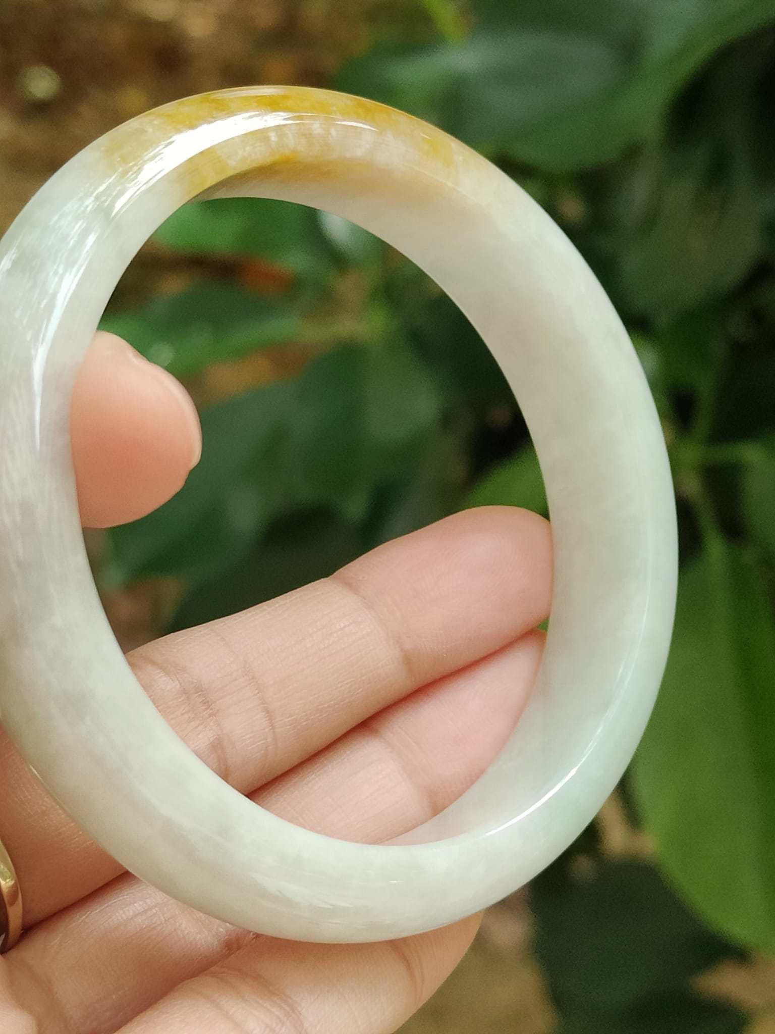 Earth's Embrace Bangle