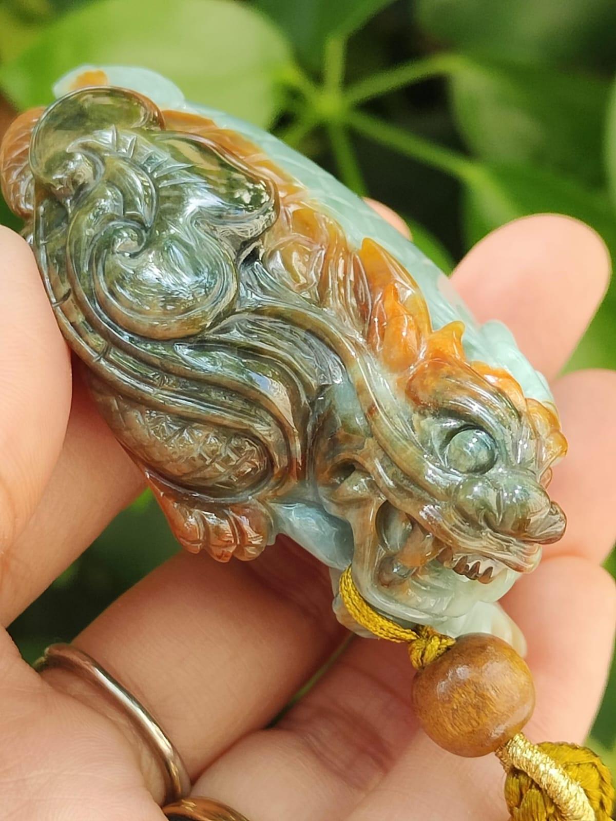 Five Elements Dragon Turtle