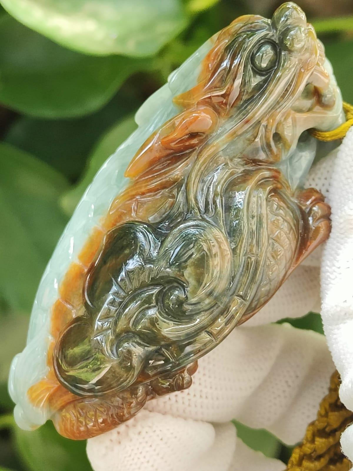 Five Elements Dragon Turtle