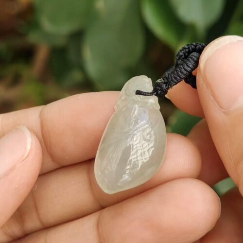 Three Legs Toad with Fugua - location: Jalan Meragi Park Simei Playground - Y.P.Q testing certified - approved 6