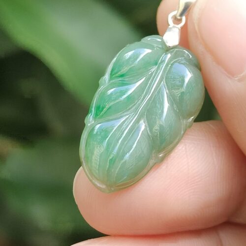 Wood Energy Jade Leaf - Location: Jalan Meragi Park Simei Estate Singapore - Y.P.Q certified testing - approved 5