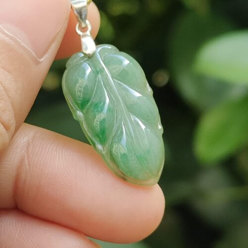 Wood Energy Jade Leaf - Location: Jalan Meragi Park Simei Estate Singapore - Y.P.Q certified testing - approved 2