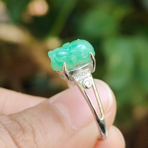 Wood Energy Pixiu Ring - Location: Jalan Meragi Park Simei Estate - Y.P.Q certified quality testing - approved 6