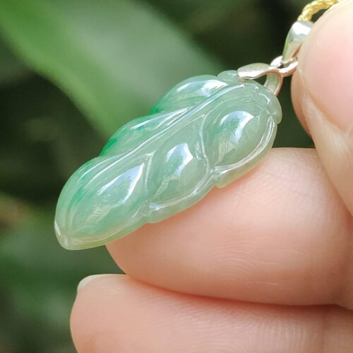 Wood Energy Jade Leaf - Location: Jalan Meragi Park Simei Estate Singapore - Y.P.Q certified testing - approved 4