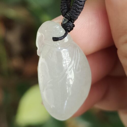 Three Legs Toad with Fugua - location: Jalan Meragi Park Simei Playground - Y.P.Q testing certified - approved 2