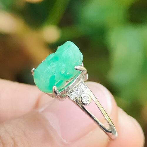 Wood Energy Pixiu Ring - Location: Jalan Meragi Park Simei Estate - Y.P.Q certified testing - approved 5