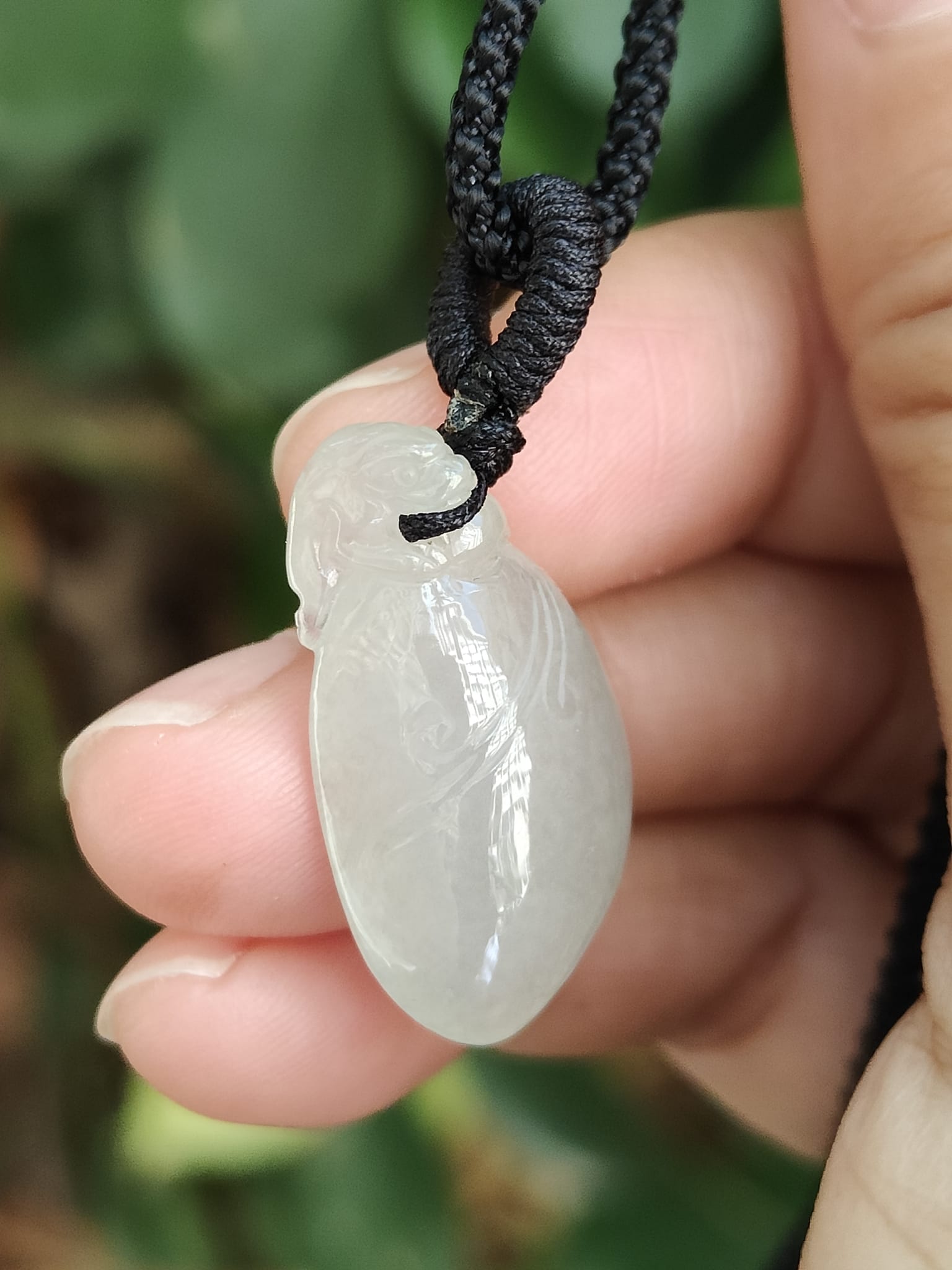 Three Legs Toad with Fugua