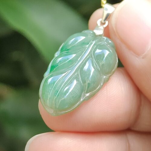 Wood Energy Jade Leaf - Location: Jalan Meragi Park Simei Estate Singapore - Y.P.Q certified testing - approved 3