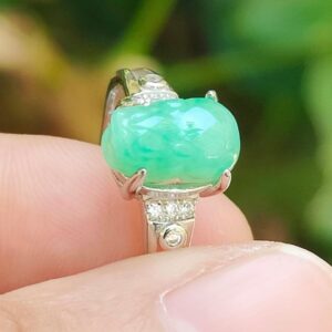 Wood Energy Pixiu Ring - Location: Jalan Meragi Park Simei Estate - Y.P.Q certified quality testing - approved 9