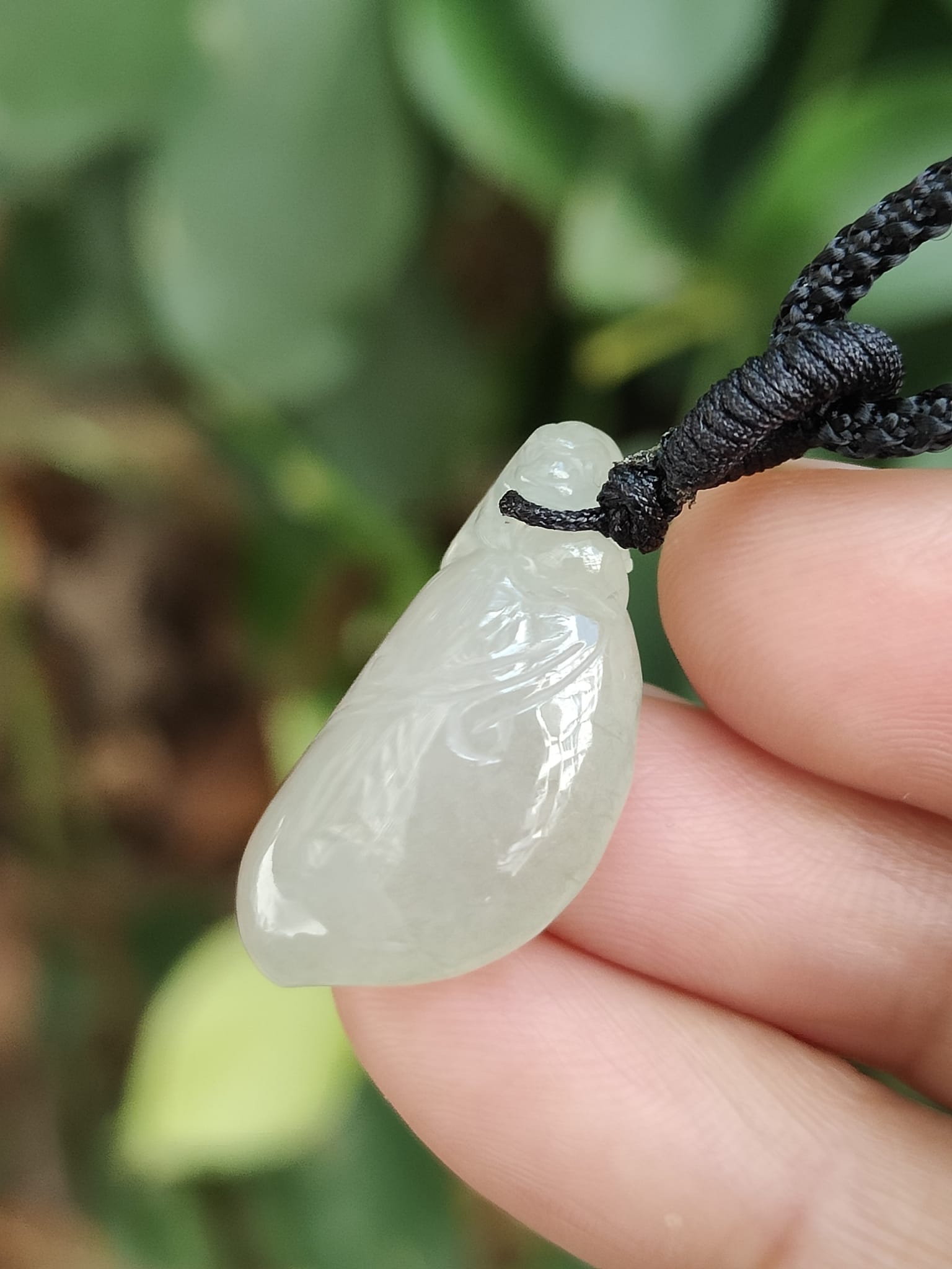 Three Legs Toad with Fugua