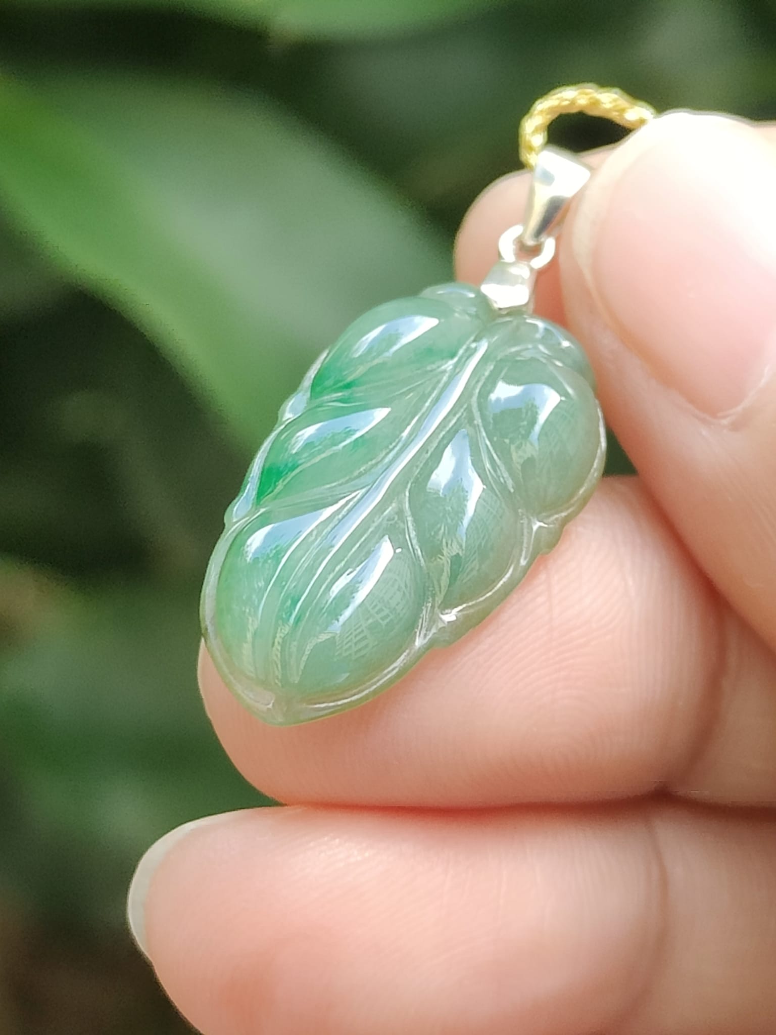 Wood Energy Jade Leaf