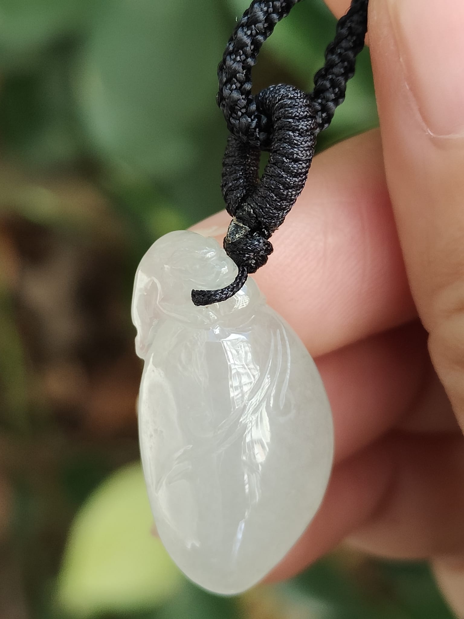 Three Legs Toad with Fugua