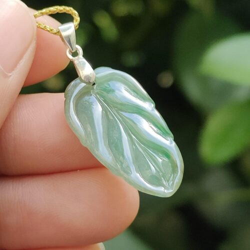 Wood Energy Jade Leaf - Location: Jalan Meragi Park Simei Estate Singapore - Y.P.Q certified testing - approved 1