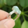 Water Energy Jade Ring - location: Jalan Meragi Park Simei Estate - Y.P.Q certified quality testing - approved 6