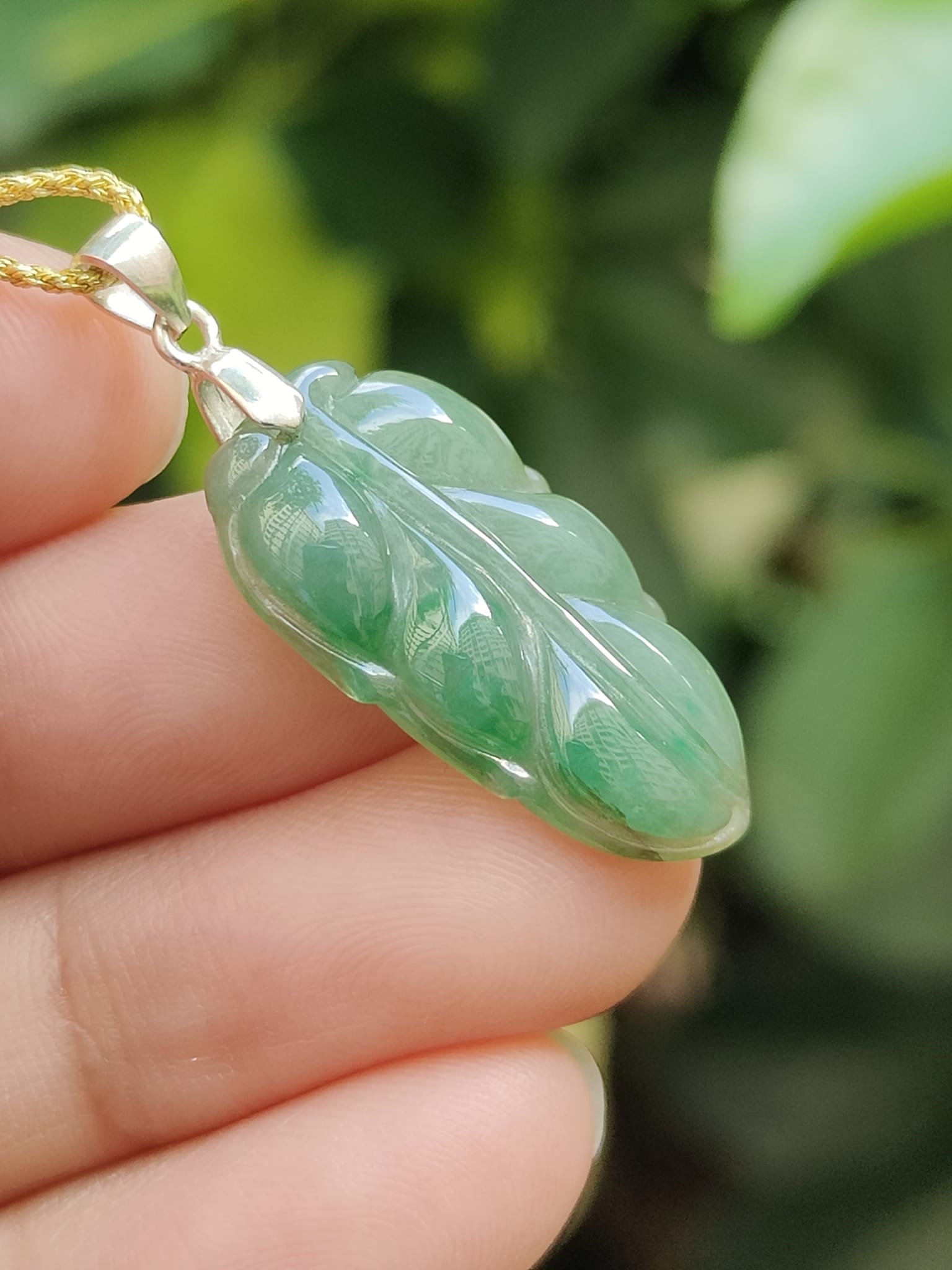 Wood Energy Jade Leaf