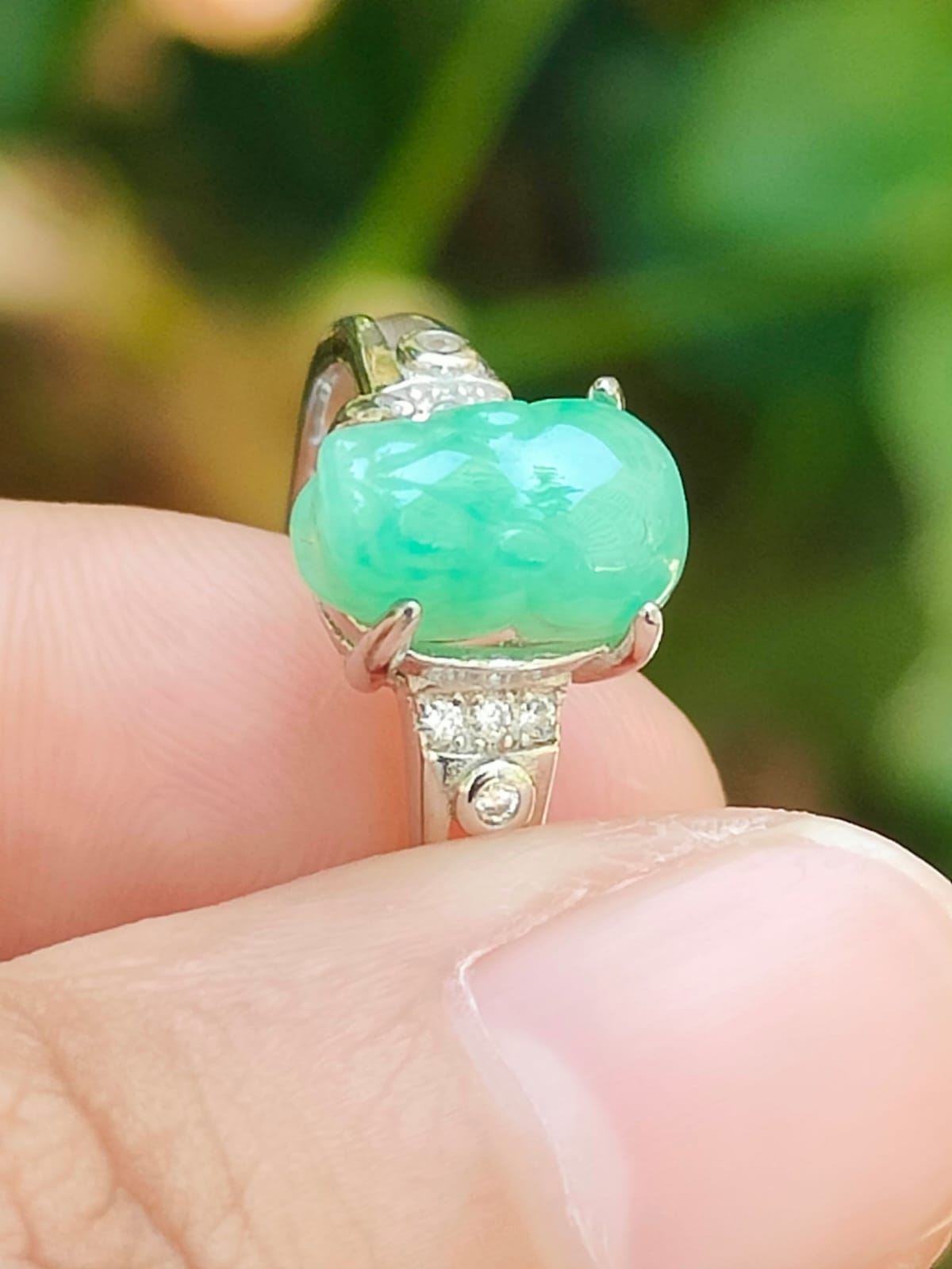 Wood Energy Pixiu Ring