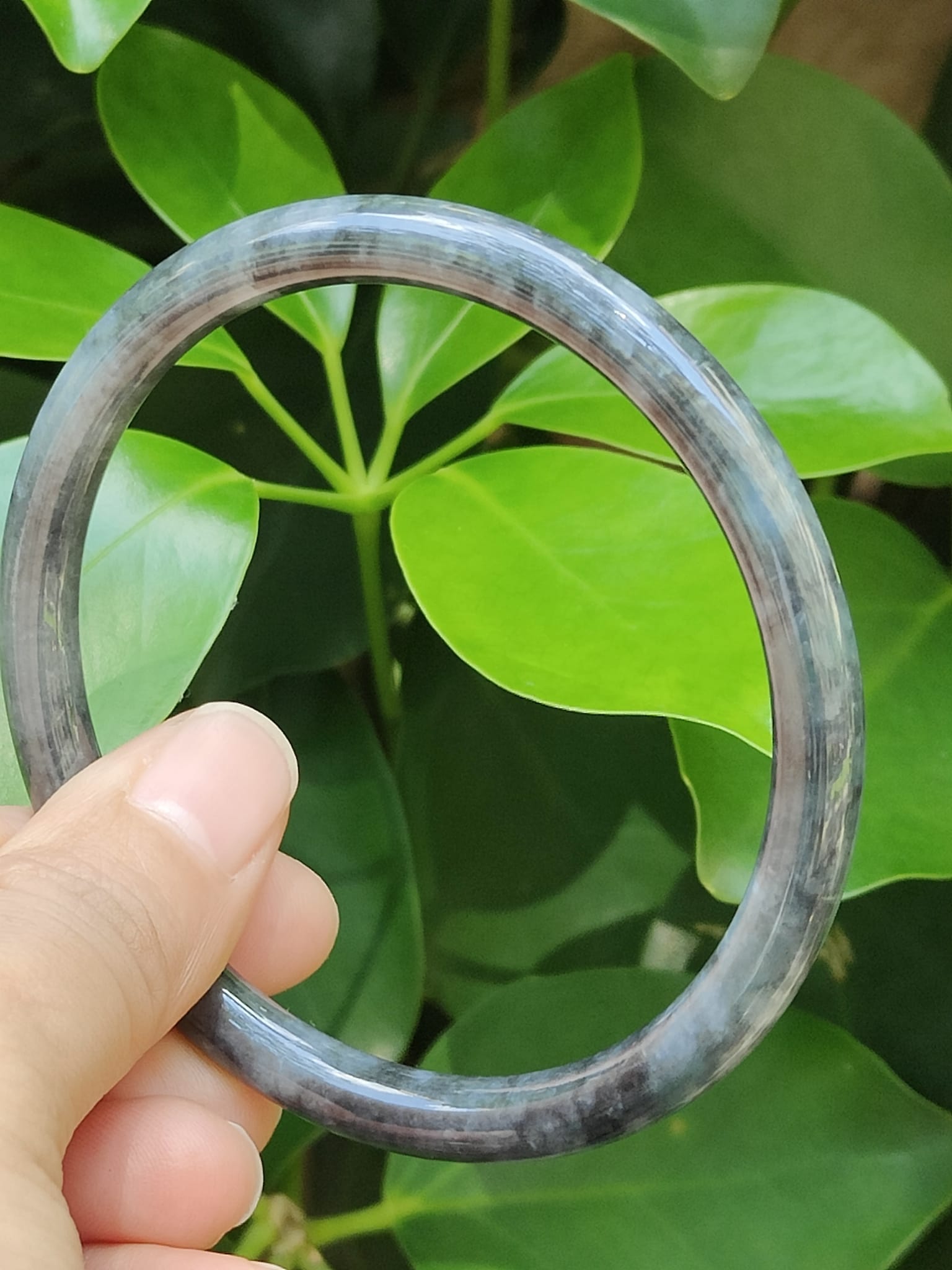Black Wuji Jadeite Bangle