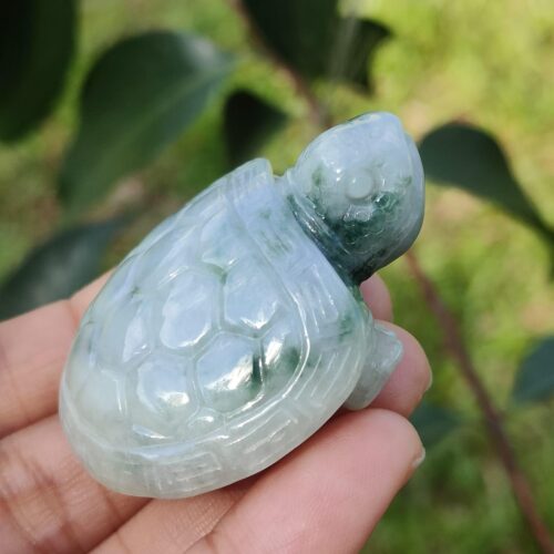 Jadeite Jade Turtle - Jalan Meragi Road Singapore - Y.P.Q certified testing - approved 2