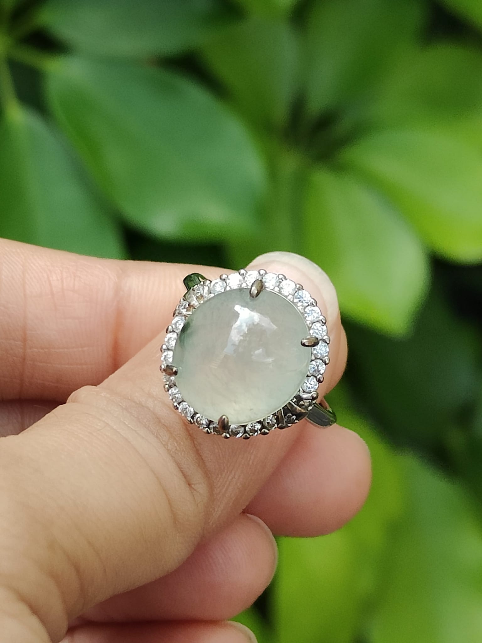 Jadeite Blooming Elegance S925 Ring