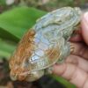 Jadeite Jade Dragon Turtle – Jalan Meragi Road Singapore – Y.P.Q certified Testing – approved 4 Jadeite Jade Dragon Turtle - Jalan Meragi Road Singapore - Y.P.Q certified Testing - approved 4