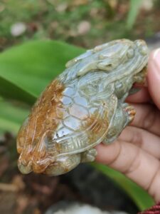 Jadeite Jade Dragon Turtle - Jalan Meragi Road Singapore - Y.P.Q certified Testing - approved 4