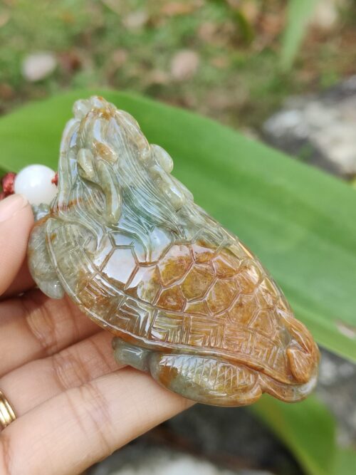 Jadeite Jade Dragon Turtle - Jalan Meragi Road Singapore - Y.P.Q certified Testing - approved 5